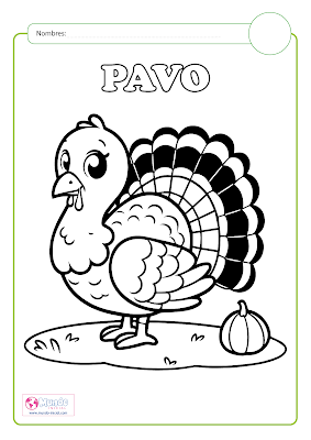 Coloreo Pavo