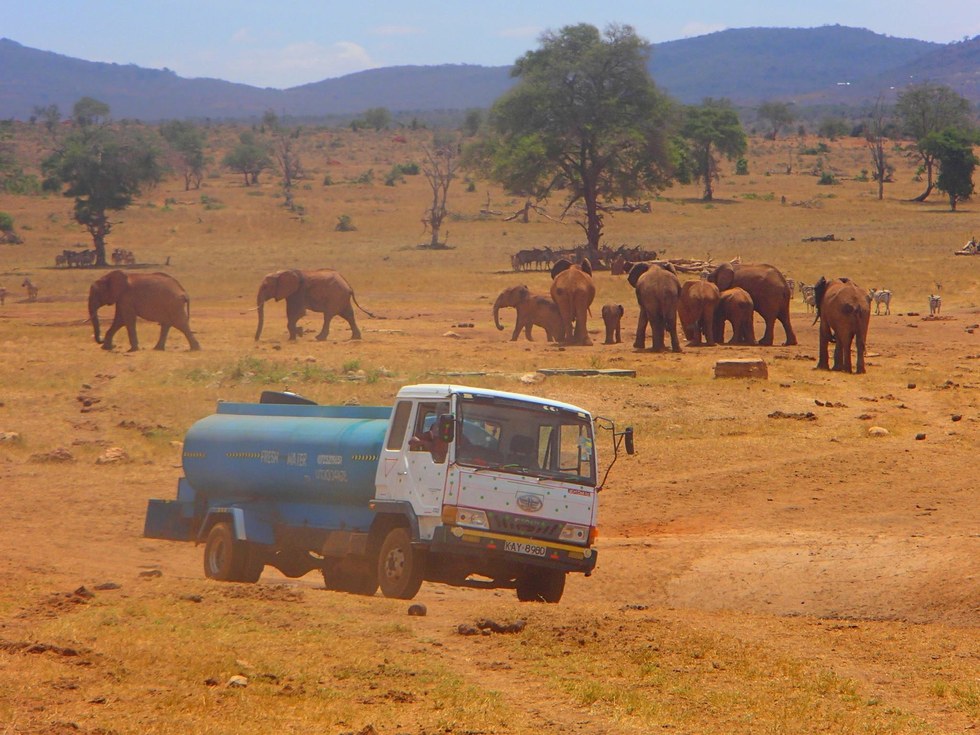 Man Drives Hours Every Day In Drought To Bring Water To Wild Animals