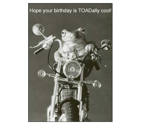 birthday cards humorous. Funny Birthday Card