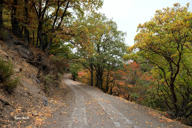 Camarate de Lugros, Granada, Bosque encantado, Senderismo