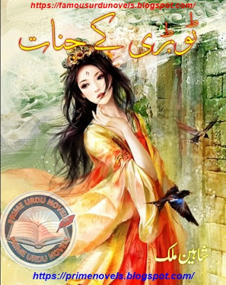 Tobrhi ke jinnat novel pdf by Shaheen Malik