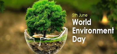 World Environment Day UN Environment Assembly