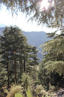 Mcleodganj, Himachal Pradesh