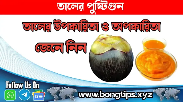 তালের পুষ্টিগুন || তালের উপকারিতা ও অপকারিতা