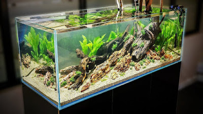 Aquascape Natural