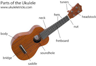 tìm hiểu về ukulele