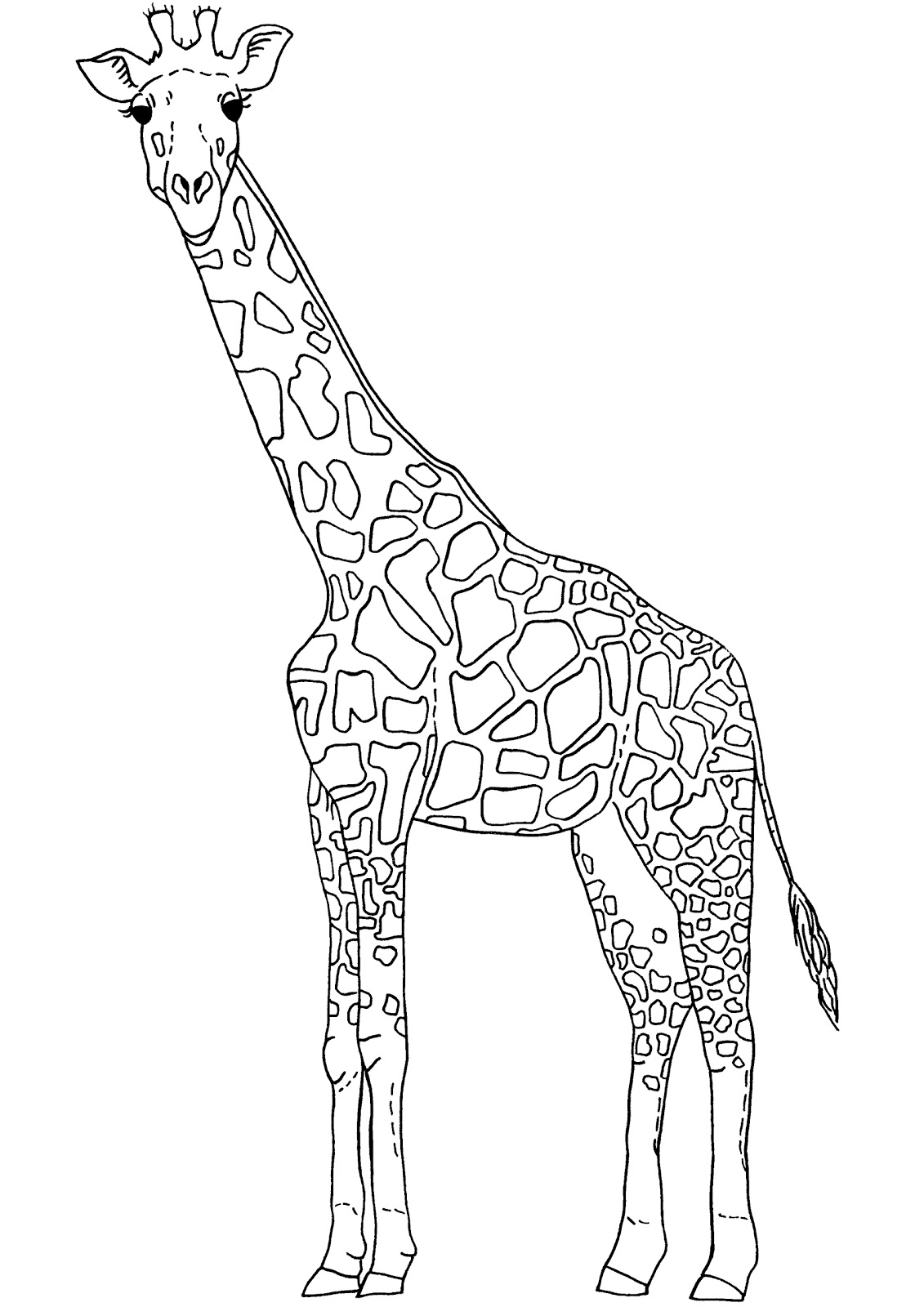 Giraffe Outline 9