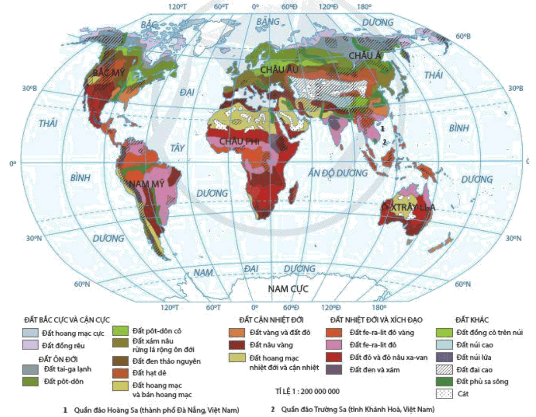 Bản đồ các nhóm đất chính trên thế giới
