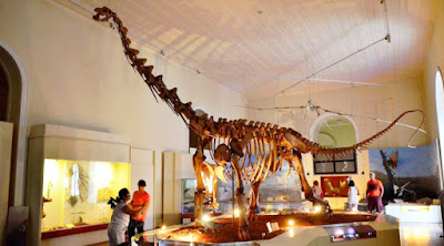 Fóssil Dino Prata Museu Nacional RJ