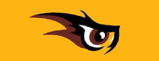 The Eagle Eye