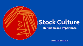 Stock Culture - Definition, Meaning, Examples and Importance