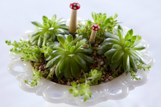 The succulent centerpieces were embellished with tiny little wooden 