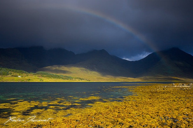 Fotografías de la Naturaleza