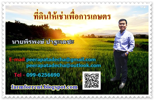 peerapong patadecha พีรพงษ์ ปาฐะเดชะ  Farmforrent.blogspot.com