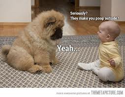 funny baby and dog playing