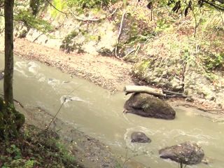 鞍が淵付近の川(上田市行政チャンネルより)