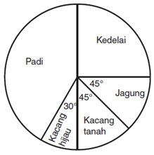 Latihan Soal Statistika SMP Kelas 8  madematika