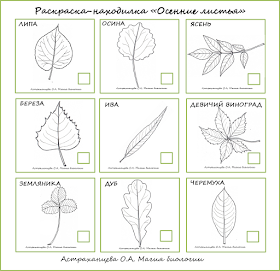 осенние-находилки-листья