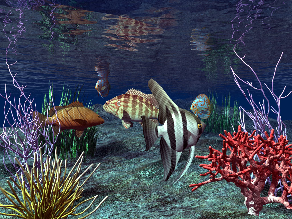 Free Live 3D Fish Desktop Wallpaper
