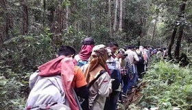 Hutan di Indonesia memiliki berbagai tipe dan formasi tertentu. Hutan hujan tropis merupakan hutan daun lebar yang selalu hijau dengan tingkat kerapatan pohon yang tinggi (Schimper AWF, 1989). formasi hutan adalah, tipe hutan adalah. tipe hutan pdf, formasi hutan pdf, bentuk formasi hutan, bentuk tipe hutan, hutan hujan tropis, hutan payau, hutan mangrove, hutan musim dan tipe tipenya