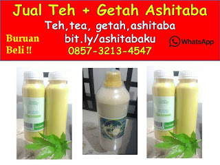 0857-3213-4547 Cara Membuat Minuman Teh Daun Ashitaba