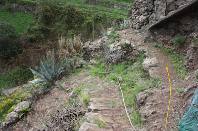 PR-TF-11 LA PUNTA DEL HIDALGO A LA CRUZ DEL CARMEN, escaleras en dirección al Batán de Arriba y Barranco del Río