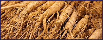 "weight loss" "ikaria lean belly juice" "fat loss belly" "fat belly" "weight loss juice" "ikaria juice" "lean belly juice" "ikaria lean belly juice reviews" "fast juice" "lean belly juice reviews" "ikaria juice reviews" "lean belly" "the ikaria juice" "workouts for the belly" "power of juicing" "the ikaria juice reviews" "fast weight loss juice" "ikaria lean belly juice official website" "belly weight loss" "fat burning juice" "ikaria lean belly juice side effects" "ikaria lean belly" "stubborn fat" "ikaria lean belly juice review" "ikaria lean belly juice ingredients" "belly juice" "power belly" "lean belly juice com" "ikaria belly juice reviews" "lean belly juice ingredients" "ikaria juice ingredients" "ikaria review" "ikaria lean belly juice website" "ikaria belly juice" "ikaria juice review" "the ikaria lean belly juice" "juice for belly fat loss" "fast lean" "ikaria juice com" "lean belly juice does it work" "belly fat juice" "stubborn fat loss" "lean fat" "reviews on ikaria lean belly juice" "lean belly juice side effects" "ikaria lean body juice" "ikaria lean belly juice where to buy" "lean body juice" "belly weight" "ikaria lean belly reviews" "belly body" "the ikaria juice com" "the power of juicing" "juice good for weight loss" "fat loss juice" "ikaria juice official website" "lean weight" "ikaria lean belly juice near me" "ikaria juice where to buy" "belly juice for weight loss" "fat juice" "ikaria juice for weight loss" "lean belly review" "reviews on lean belly juice" "lean belly juice ikaria" "lean belly juice review" "ikaria juice website" "lean weight loss" "lean belly fat" "reviews of ikaria lean belly juice" "ikaria belly fat juice" "belly juice reviews" "ikaria lean belly juice com" "ikaria ingredients" "ikaria fat burning juice" "ikaria lean belly juice weight loss" "weight loss weight loss" "ikaria lean belly juice official site" "stubborn belly" "ikaria lean juice reviews" "ikaria diet juice" "ikaria lean belly juice results" "belly body fat" "belly juice com" "buy ikaria lean belly juice" "potent juice" "ikaria lean belly juice supplement" "ikaria juice diet" "fat lean" "ikaria lean belly juice benefits" "reviews on ikaria belly juice" "juice weight" "fat belly juice" "ikaria belly juice side effects" "ikaria juice does it work" "review of ikaria lean belly juice" "ikaria belly" "ikaria juice lean belly juice" "the ikaria lean belly juice reviews" "ikaria lean belly juice buy" "review ikaria lean belly juice" "ikaria weight loss juice" "slim belly juice" "lean belly juice how to use" "ikaria lean belly fat" "ikaria juice side effects" "ikaria lean belly juice work" "ikaria belly fat" "juice belly" "lean belly fat juice reviews" "belly stubborn fat" "weight loss for stubborn fat" "belly belly juice" "ikaria diet reviews" "on weight loss" "juice that is good for weight loss" "lean your body" "lean belly diet" "any weight loss" "your weight loss journey" "juice is good for weight loss" "belly juice lean" "ikaria juice benefits" "for weight loss juice" "lean for weight loss" "weight loss weight loss weight loss" "lean belly juice results" "belly power" "your weight loss" "stubborn fat loss solution" "weight juice" "ikaria weight loss supplement" "belly juice review" "ikaria juice weight loss" "lean belly juice work" "lean belly formula" "belly ikaria juice lean""stubborn body fat" "juice and weight loss" "belly fat stubborn" "fat loss weight loss" "weight loss weight loss" "belly body" "fast lean" "on weight loss" "fat loss and weight loss" "weight loss and" "any weight loss" "stubborn side belly fat" "stubborn belly fat after weight loss" "fat belly" "your weight loss" "and weight loss" "stubborn fat" "stubborn fat diet" "belly stubborn fat" "burning juice" "fast belly" "belly body fat" "stubborn side fat" "lean your body" "your weight" "lean fat" "stubborn belly" "fat lean" "weight loss weight loss weight loss" "lean weight" "power belly" "burn stubborn" "juice is good for weight loss" "stubborn belly fat before and after" "your weight loss journey" "belly ikaria juice lean" "belly juice lean" "for weight loss juice"