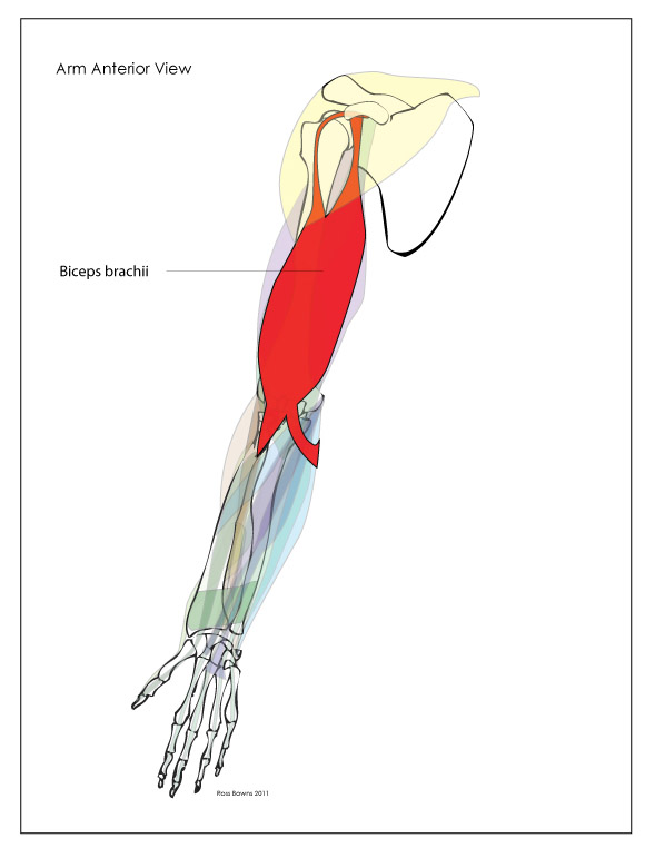 dresses more. valentine coloring_24. more. more. sheelalann. 05-21 12:54 PM valentine coloring_24. dresses more. valentine coloring_24. more. more. sheelalann. 05-21 12:54 PM