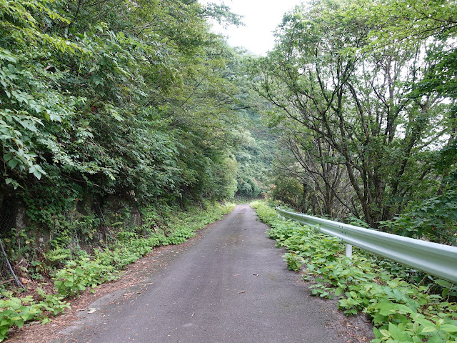 香取草谷展望駐車場に向かう山道