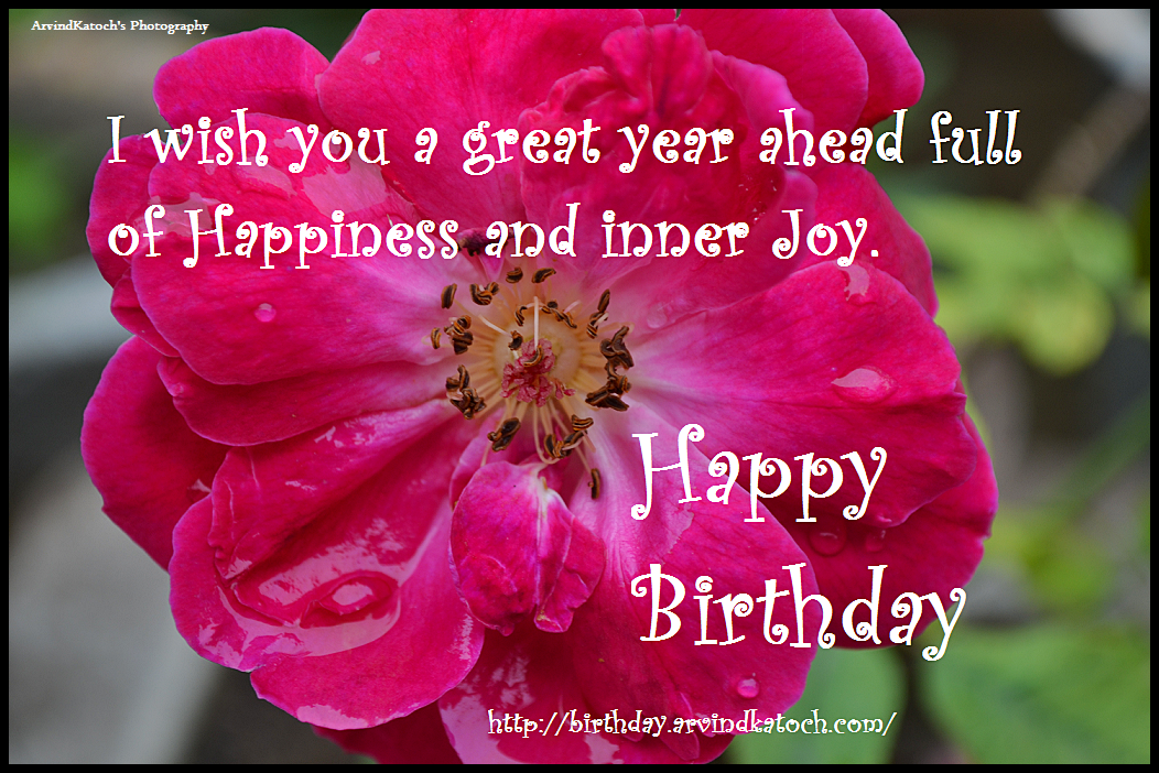 Great, year, happiness, happy birthday card,