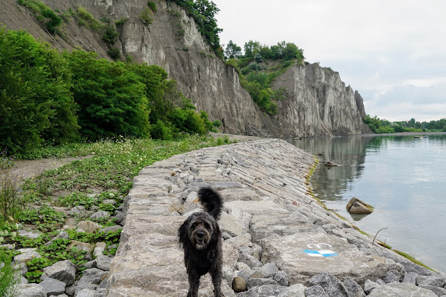 Lake Ontario below Scarborough Heights Park