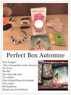 perfect-box-automne-swaps-addict