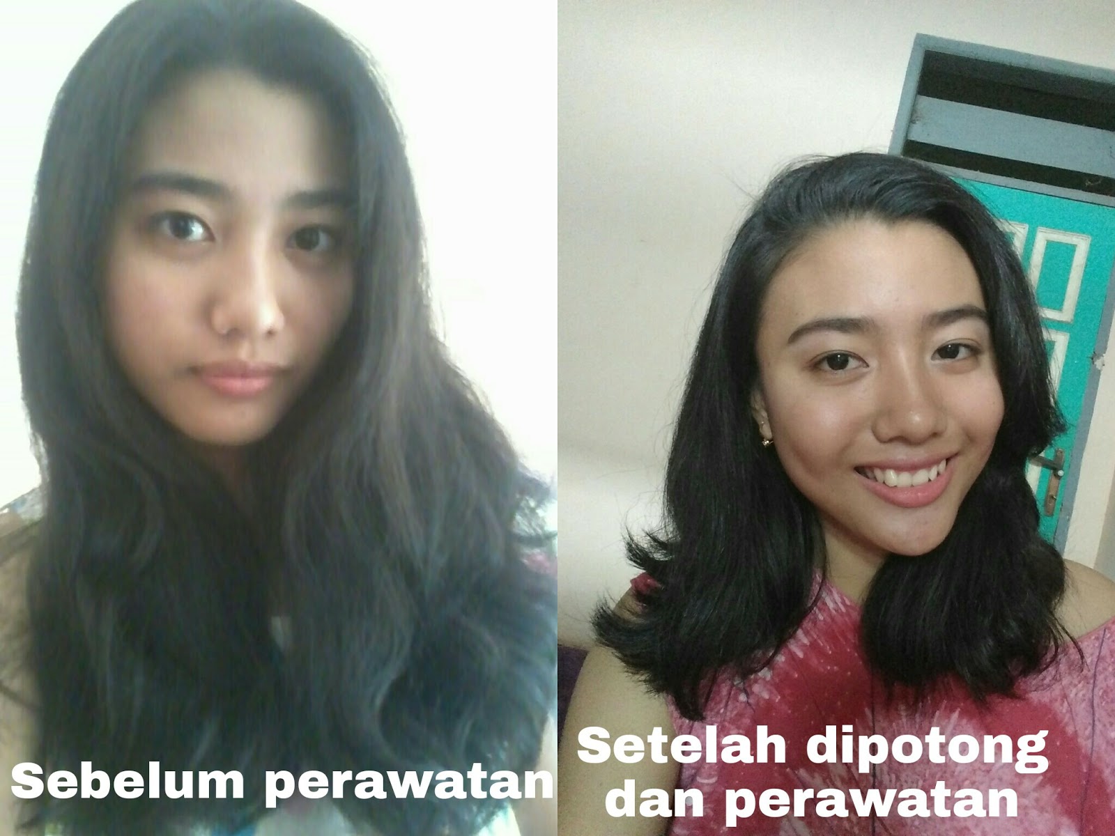 My Enthusiast Perawatan Untuk Rambut Rusak My Hair Story