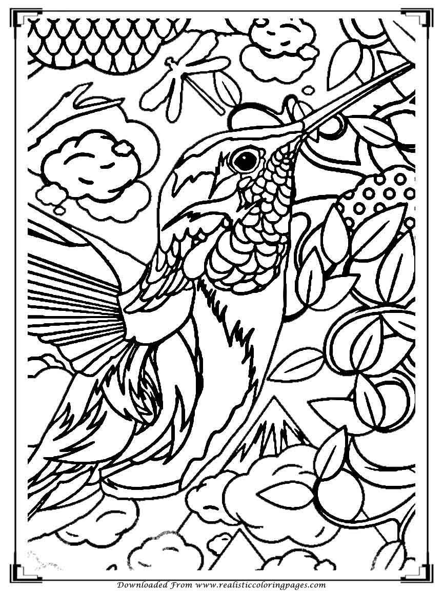 Download Printable Birds Coloring Pages For Adults | Realistic ...