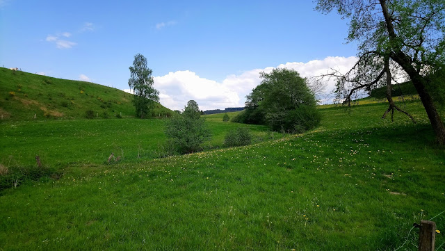 Sauerland wandern Wetter blog Homert Sundern