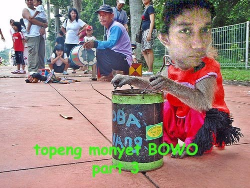 [bowo+monyet5.jpg]