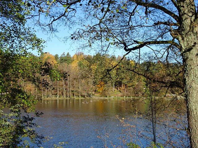 DSC05151