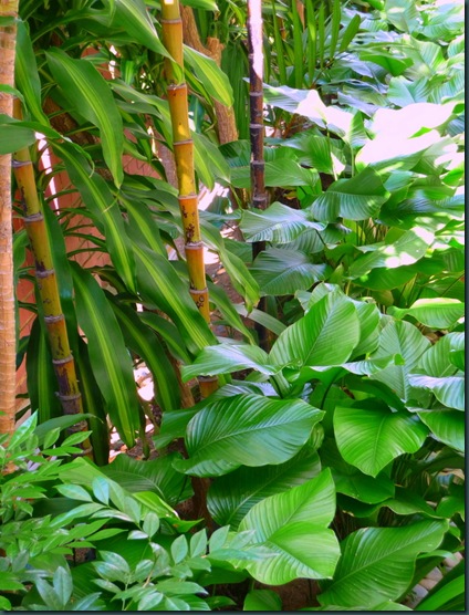 P1110373
