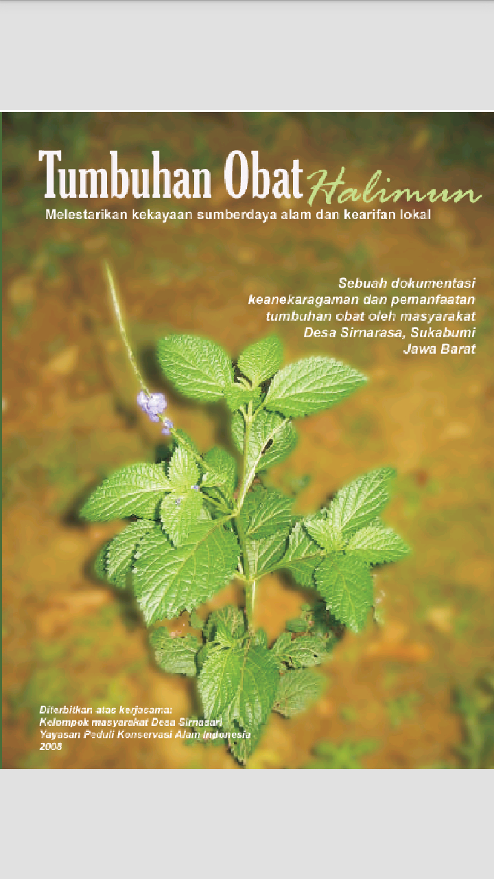 Download Buku Tanaman Obat Herbal Tradisional Tugas Sekolah