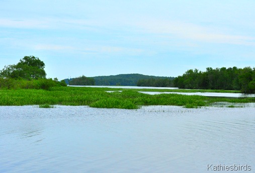 2. river wetlands-kab