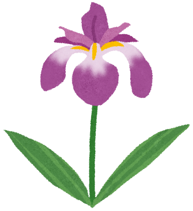 菖蒲の花のイラスト かわいいフリー素材集 いらすとや 菖蒲の花のイラスト かわいいフリー素材集 いらすとや