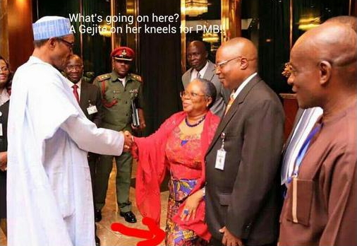 onyeka onwenu kneels buhari