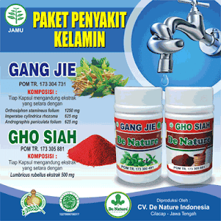 https://de-natur-indonesia.blogspot.com/2017/12/obat-ampuh-sakit-batang-kelamin-pria.html