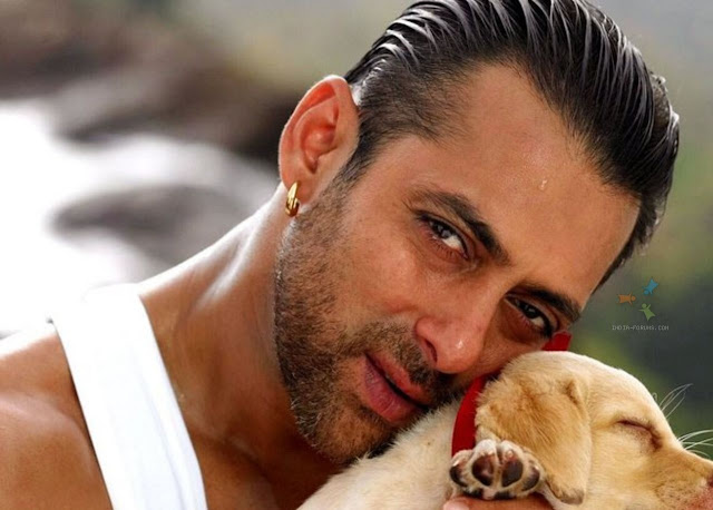 Very Smart Salman Khan HD Wallpaper