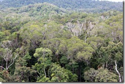 Cairns, Australia 488 (640x427)