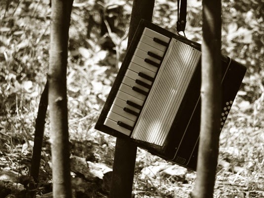 Foto by Csaba Polgar