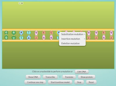 http://lab.concord.org/embeddable.html#interactives/sam/DNA-to-proteins/4-mutations.json