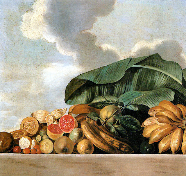 Albert Eckhout (c.1610 – c. 1666) Bananes, Goayges et autres fruits du Brésil , 1641 Huile sur ooile, 94 x9 4cm National Museum of Danmark