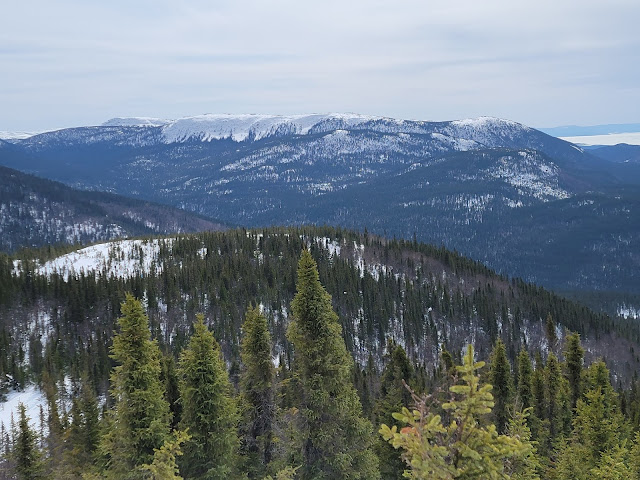 Point de vue sur le sentier pour le mont Harfang