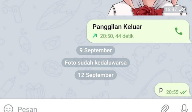 Arti Foto Kadaluwarsa di Pesan Telegram